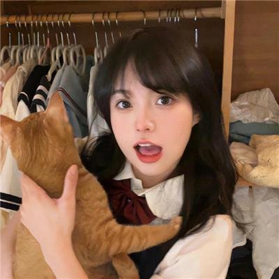 野·良犬粤语